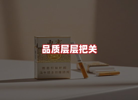 专业团队